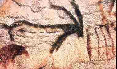 Caves of Lascaux, Female Ibex? unfinished outline flag in front