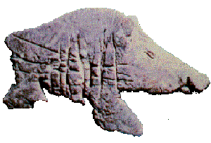 little image of a wild boar c.7000 BC. - Tepe Sarab - Iran 